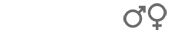 دختران پسران